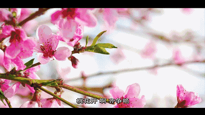 微信图片_20180211103453.gif